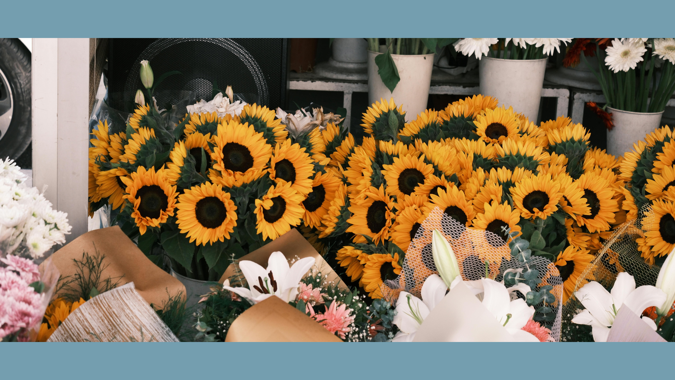 A small business flowershop storefront. Many sunflowers outside.